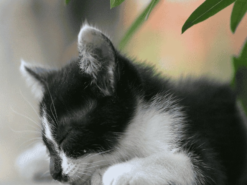 试管能保存多久（尿试管安装多少）